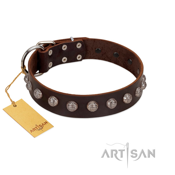 Corrosion resistant traditional buckle on remarkable natural genuine leather dog collar