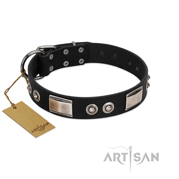 Impressive collar of natural leather for your canine