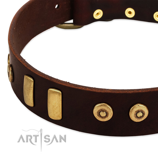 Soft to touch full grain genuine leather collar with remarkable adornments for your dog