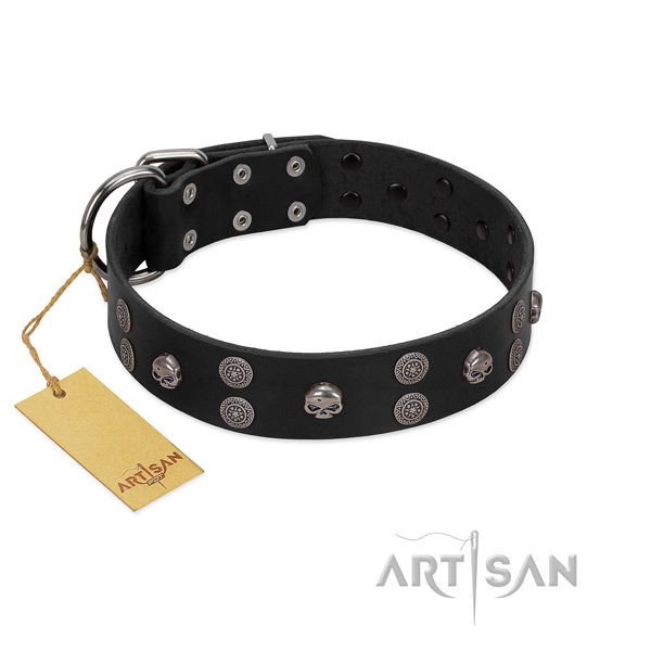 Soft full grain genuine leather dog collar with adornments for daily use