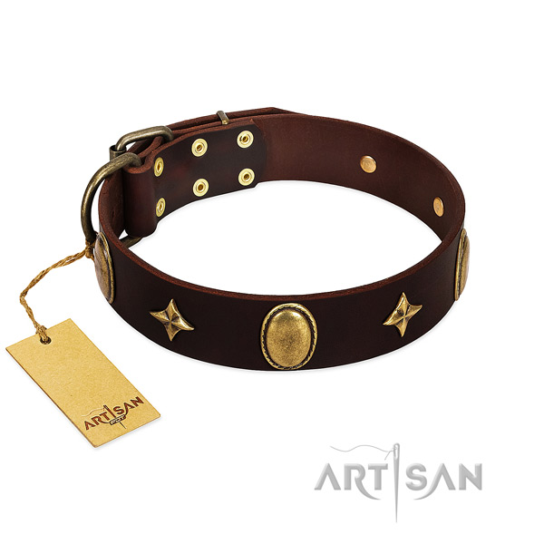 Top rate full grain natural leather dog collar with rust resistant embellishments