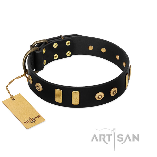 Top notch full grain leather dog collar with fashionable adornments