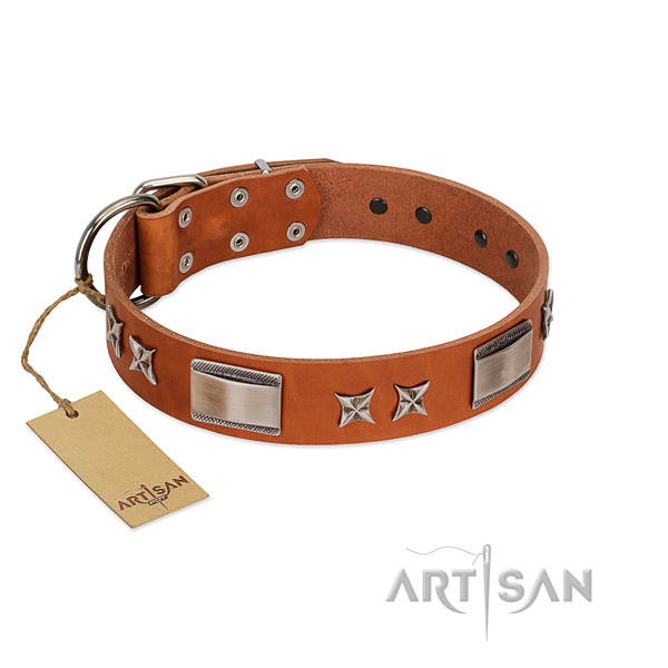 Top rate natural leather dog collar with rust resistant buckle