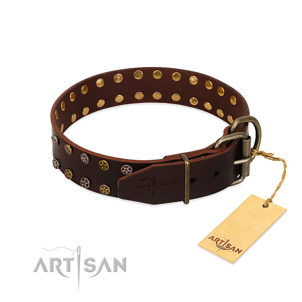 Handy use leather dog collar with extraordinary embellishments