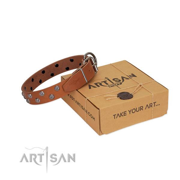 Rust resistant buckle on studded leather dog collar
