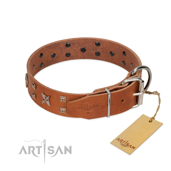 Reliable natural leather dog collar for your stylish dog