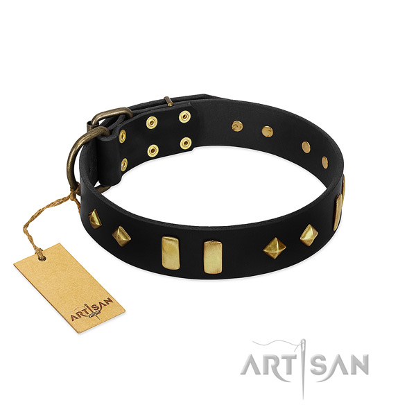 Reliable leather dog collar with incredible studs