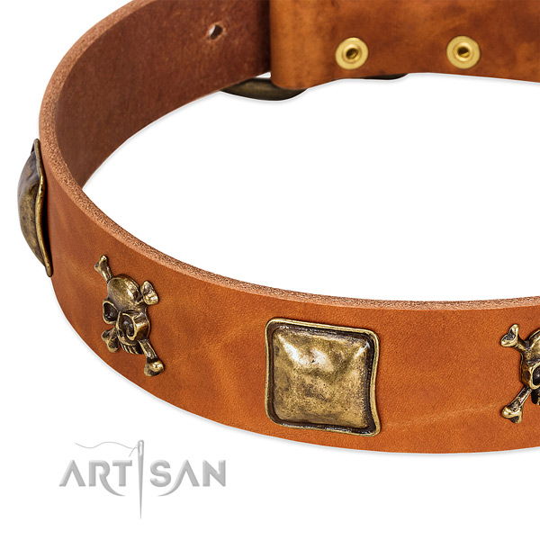 Remarkable adornments on full grain leather collar for your dog