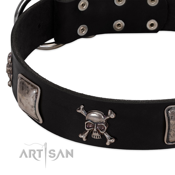 Durable hardware on genuine leather dog collar