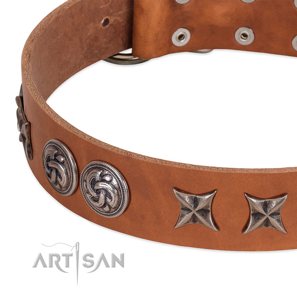 Full grain natural leather collar with amazing embellishments for your canine