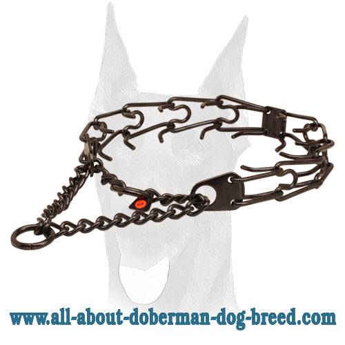 Corrosion-proof black stainless steel prong collar for ill behaved canines