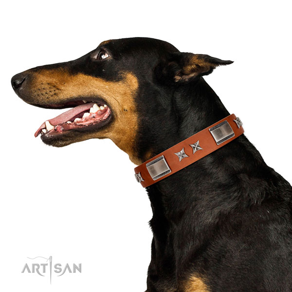 Daily use gentle to touch full grain genuine leather dog collar with embellishments