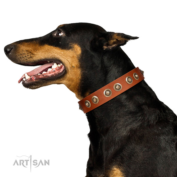 Easy wearing dog collar of genuine leather with unusual decorations