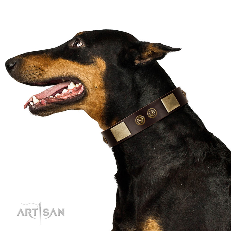 Basic training dog collar of natural leather with remarkable decorations