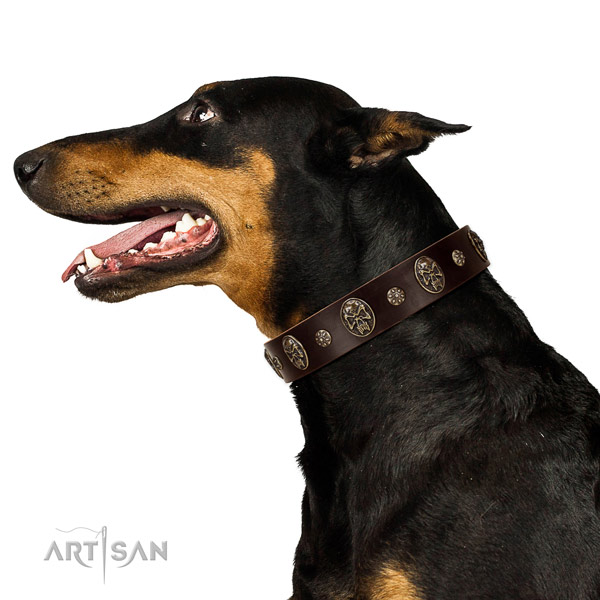Everyday use dog collar of natural leather with fashionable adornments