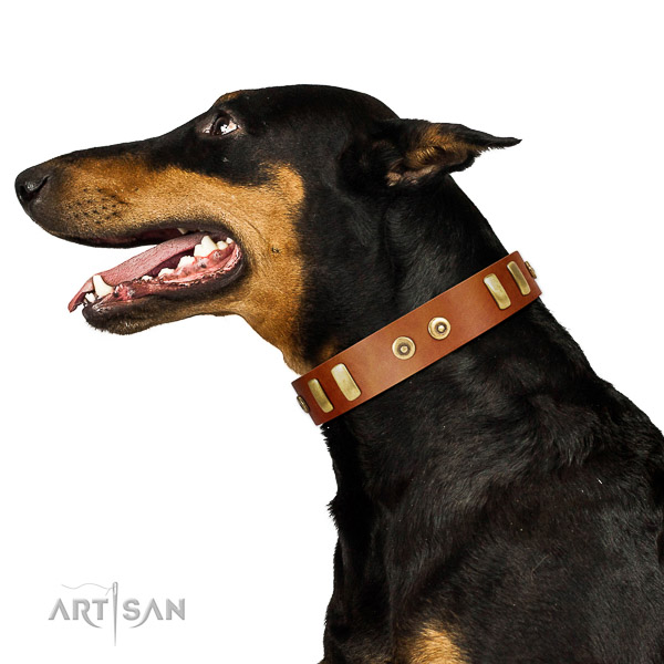 Significant adorned genuine leather dog collar of top rate material