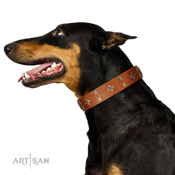 Full grain natural leather dog collar of top notch material with fashionable embellishments