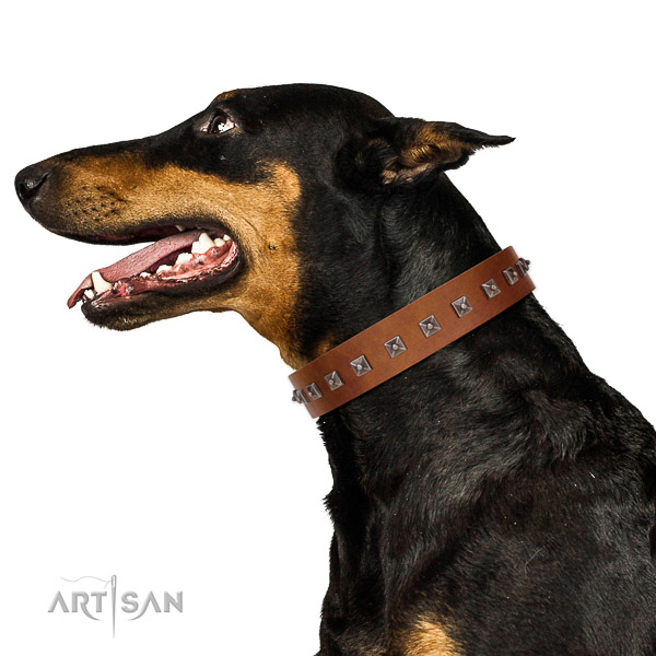Stylish design adorned natural leather dog collar