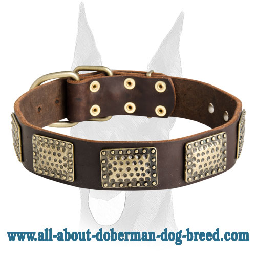 Need Designer Dog Collars? Get Today Luxury Doberman Leather Collar
