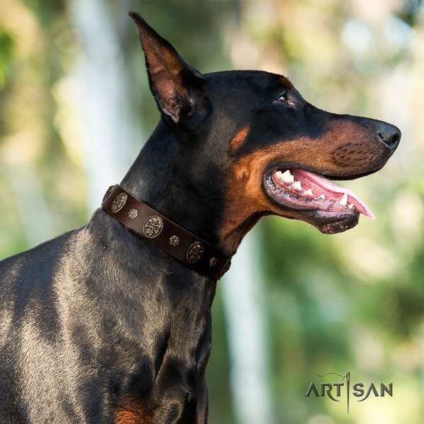 Doberman comfy wearing full grain natural leather collar with embellishments for your four-legged friend