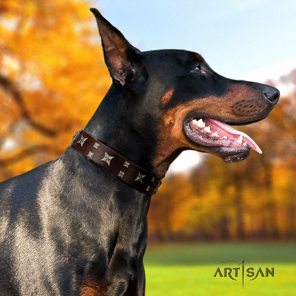 Doberman comfortable wearing natural leather collar with stylish adornments for your dog