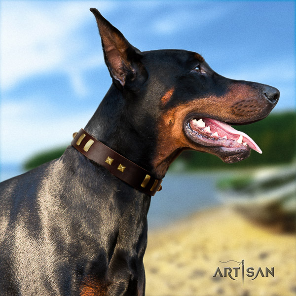Doberman daily use leather collar with decorations for your four-legged friend