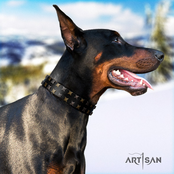 Doberman stylish walking full grain natural leather collar with embellishments for your four-legged friend