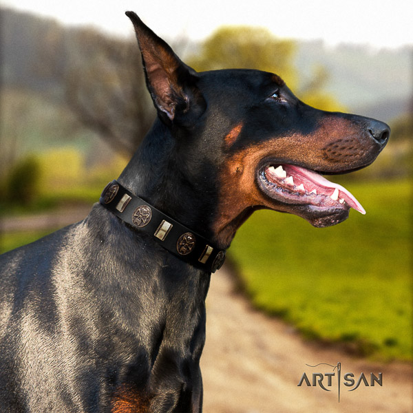 Doberman daily walking leather collar with embellishments for your dog