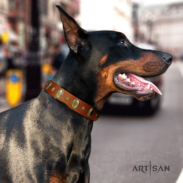 Doberman handy use full grain natural leather collar with adornments for your canine