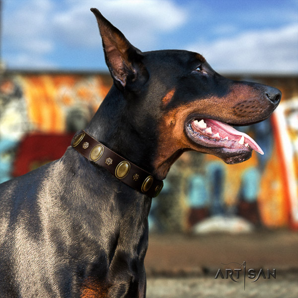 Doberman walking full grain genuine leather collar with studs for your pet