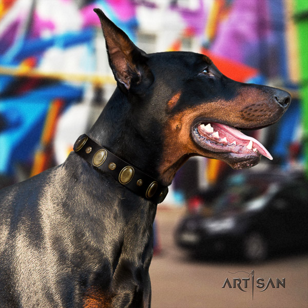 Doberman basic training natural leather collar with studs for your pet