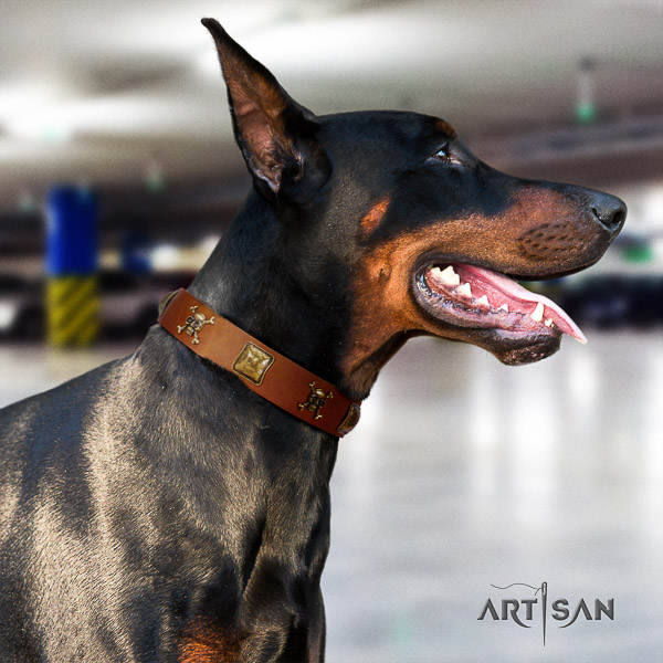 Doberman everyday use full grain genuine leather collar with embellishments for your dog