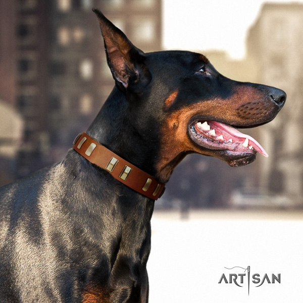 Doberman basic training genuine leather collar with studs for your dog
