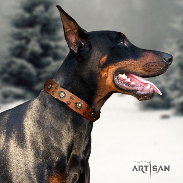 Doberman full grain genuine leather dog collar with adornments for your impressive dog