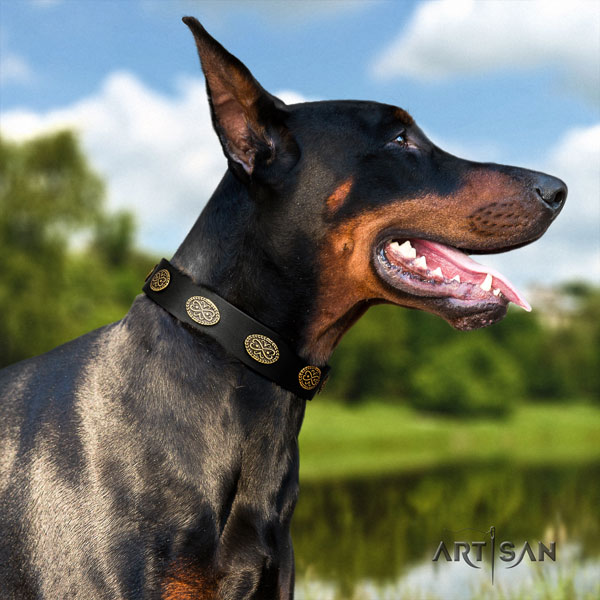 Doberman genuine leather dog collar with adornments for your beautiful doggie