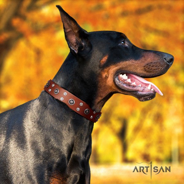 Doberman natural genuine leather dog collar with adornments for your stylish dog