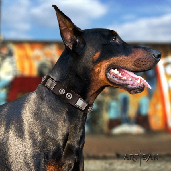 Doberman handcrafted genuine leather collar with studs for your doggie