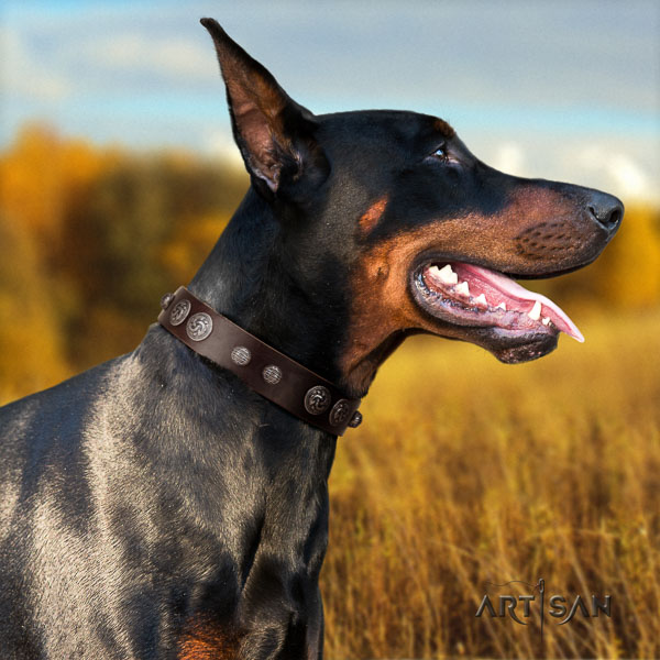 Doberman full grain natural leather dog collar with studs for your handsome dog