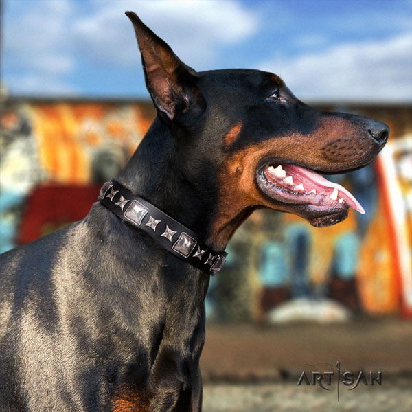 Doberman genuine leather dog collar with decorations for your stylish dog