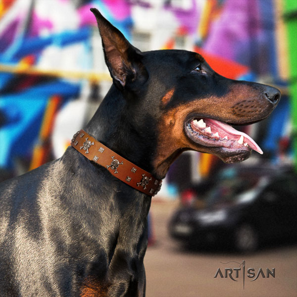 Doberman full grain leather dog collar with studs for your handsome four-legged friend