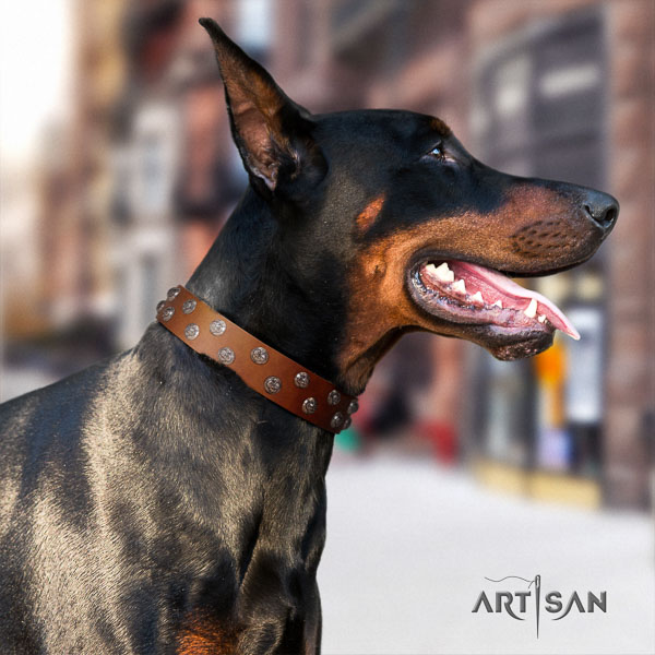 Doberman leather dog collar with studs for your attractive doggie