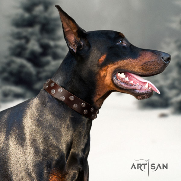 Doberman full grain natural leather dog collar with embellishments for your attractive four-legged friend