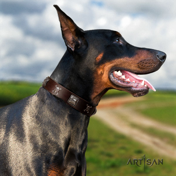 Doberman full grain genuine leather dog collar with decorations for your impressive four-legged friend