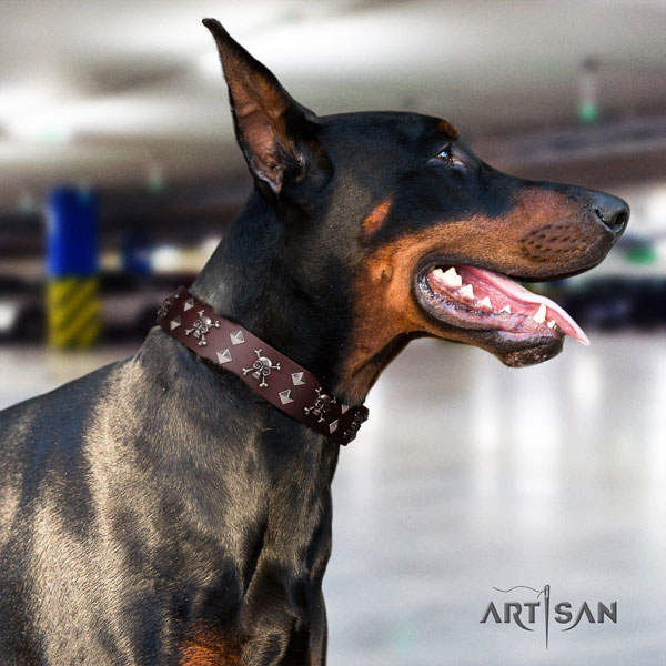 Doberman full grain natural leather dog collar with studs for your stylish dog