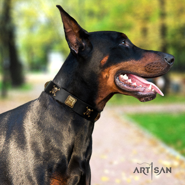 Doberman comfy wearing full grain leather collar with embellishments for your four-legged friend