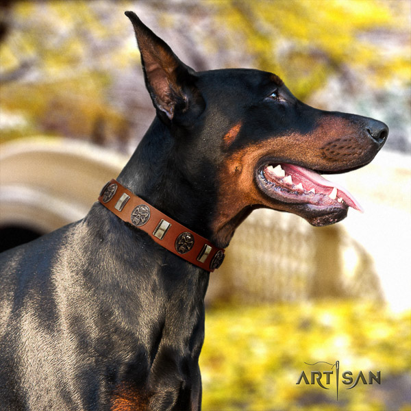 Doberman handy use full grain natural leather collar with embellishments for your canine