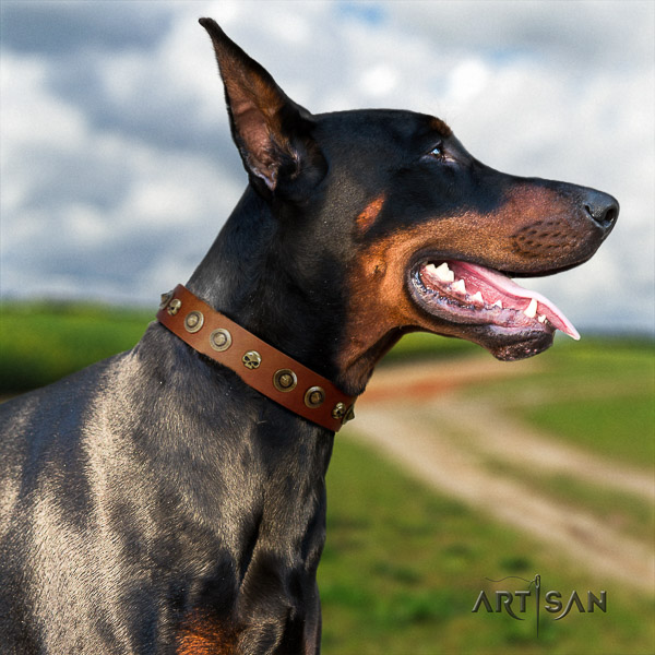 Doberman walking genuine leather collar with decorations for your doggie