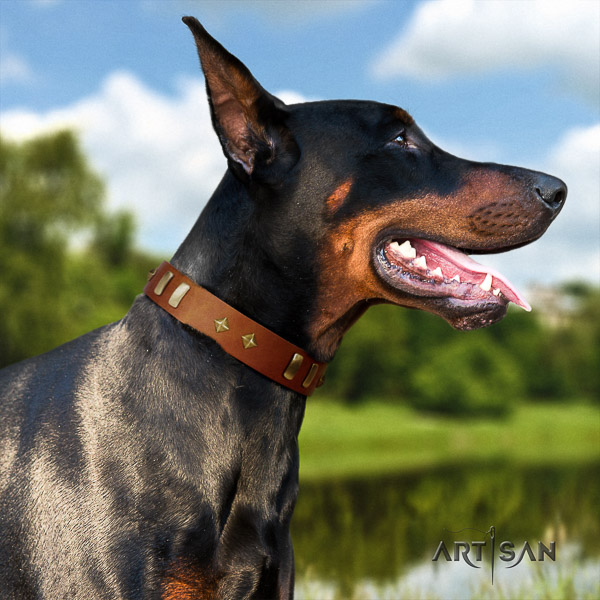 Doberman everyday use full grain leather collar with decorations for your pet
