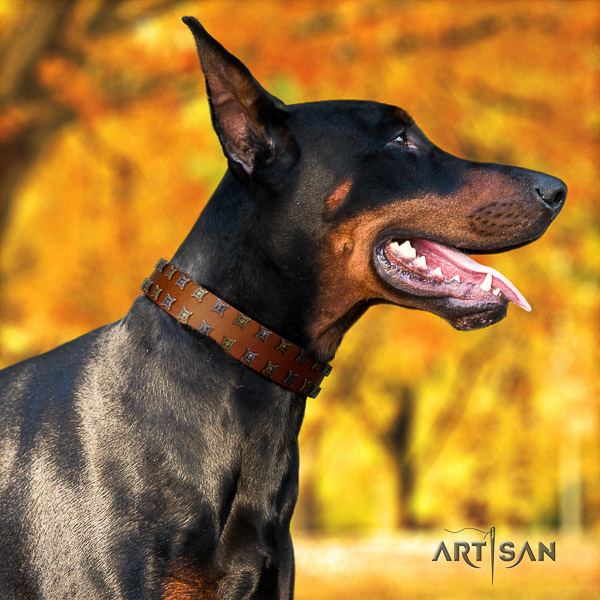 Doberman everyday use full grain leather collar with adornments for your four-legged friend