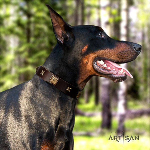 Doberman everyday use full grain natural leather collar with embellishments for your pet